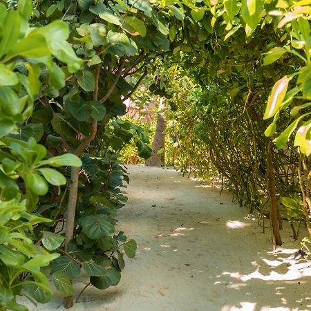 Tago Tulum By G Hotels Exteriér fotografie